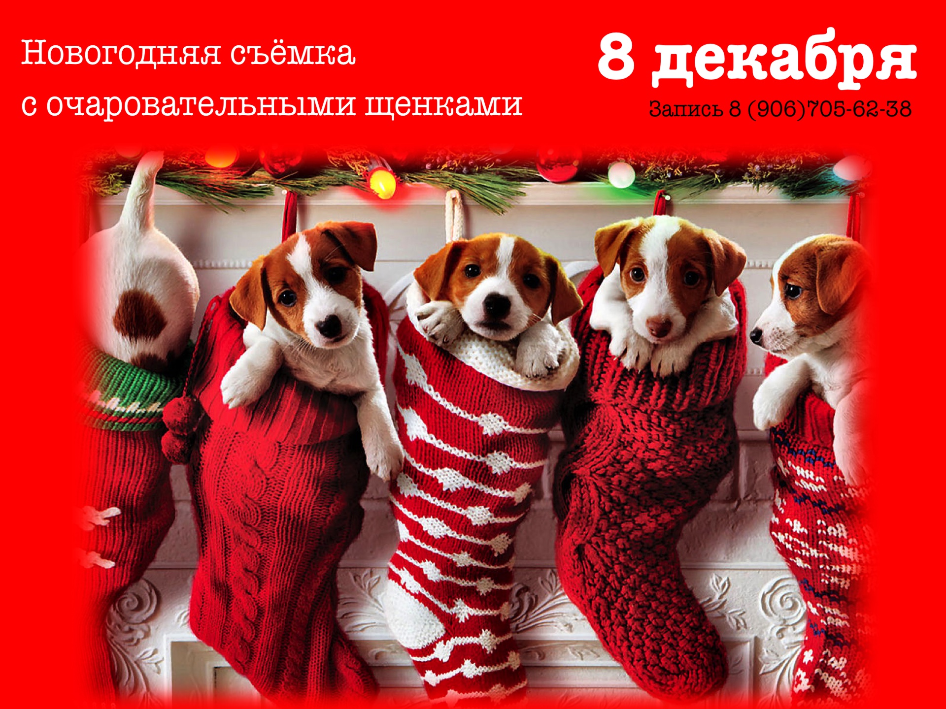Приглашаем на съёмку фотопроекта "Гороскоп" 